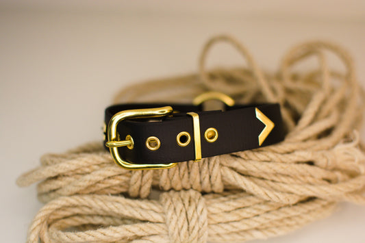 Veganes BDSM Halsband Aaron von Frivol Sextilien