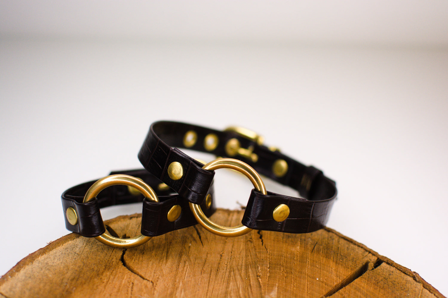 Recycling BDSM Halsband Armband Set von Frivol Sextilien